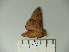  ( - BC-CGCM 23.378)  @13 [ ] Copyright (2010) Unspecified Research Collection of Carlos Mielke