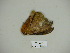  ( - BC-CGCM 23.461)  @12 [ ] Copyright (2010) Unspecified Research Collection of Carlos Mielke