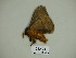  ( - BC-CGCM 23.493)  @12 [ ] Copyright (2010) Unspecified Research Collection of Carlos Mielke