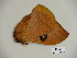  ( - BC-CGCM 23.525)  @12 [ ] Copyright (2010) Unspecified Research Collection of Carlos Mielke