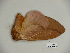  ( - BC-CGCM 23.541)  @12 [ ] Copyright (2010) Unspecified Research Collection of Carlos Mielke