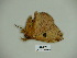  ( - BC-CGCM 23.557)  @12 [ ] Copyright (2010) Unspecified Research Collection of Carlos Mielke