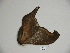  ( - BC-CGCM 23.573)  @12 [ ] Copyright (2010) Unspecified Research Collection of Carlos Mielke