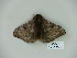  ( - BC-CGCM 23.591)  @14 [ ] Copyright (2010) Unspecified Research Collection of Carlos Mielke