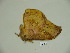  ( - BC-CGCM 23.640)  @11 [ ] Copyright (2010) Unspecified Research Collection of Carlos Mielke
