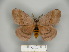  ( - BC-CGCM 23.649)  @13 [ ] Copyright (2010) Unspecified Research Collection of Carlos Mielke