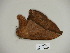  ( - BC-CGCM 23.685)  @13 [ ] Copyright (2010) Unspecified Research Collection of Carlos Mielke
