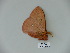  ( - BC-CGCM 23.799)  @12 [ ] Copyright (2010) Unspecified Research Collection of Carlos Mielke