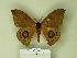  ( - BC-CGCM 23.804)  @13 [ ] Unspecified (default): All Rights Reserved  Unspecified Unspecified