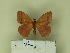  ( - BC-CGCM 23.881)  @12 [ ] Unspecified (default): All Rights Reserved  Unspecified Unspecified