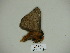  ( - BC-CGCM 23.908)  @12 [ ] Copyright (2010) Unspecified Research Collection of Carlos Mielke