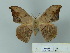  ( - BC-CGCM 23.929)  @12 [ ] Unspecified (default): All Rights Reserved  Unspecified Unspecified