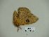  ( - BC-CGCM 23.957)  @12 [ ] Copyright (2010) Unspecified Research Collection of Carlos Mielke