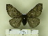  ( - BC-CGCM 24.209)  @13 [ ] Unspecified (default): All Rights Reserved  Unspecified Unspecified