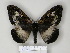  ( - BC-CGCM 24.311)  @13 [ ] Unspecified (default): All Rights Reserved  Unspecified Unspecified
