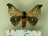  ( - BC-CGCM 24.313)  @13 [ ] Unspecified (default): All Rights Reserved  Unspecified Unspecified