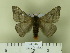  ( - BC-CGCM 24.346)  @12 [ ] Unspecified (default): All Rights Reserved  Unspecified Unspecified
