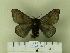  ( - BC-CGCM 24.441)  @12 [ ] Unspecified (default): All Rights Reserved  Unspecified Unspecified