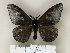  ( - BC-CGCM 24.475)  @13 [ ] Unspecified (default): All Rights Reserved  Unspecified Unspecified