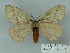  ( - BC-CGCM 24.822)  @13 [ ] Unspecified (default): All Rights Reserved  Unspecified Unspecified