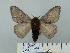  ( - BC-CGCM 25.217)  @14 [ ] Unspecified (default): All Rights Reserved  Unspecified Unspecified