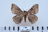  ( - BC-CGCM-5.986)  @14 [ ] Copyright (2010) Unspecified Research Collection of Carlos Mielke
