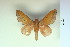 ( - BC-CGCM-8.435)  @14 [ ] Copyright (2010) Unspecified Research Collection of Carlos Mielke