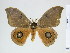  ( - BC-DZ-10.080)  @13 [ ] Copyright (2010) Unspecified Research Collection of Carlos Mielke