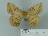  ( - BC-DZ 22.405)  @12 [ ] Unspecified (default): All Rights Reserved  Unspecified Unspecified