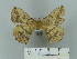  ( - BC-DZ 22.455)  @12 [ ] Unspecified (default): All Rights Reserved  Unspecified Unspecified