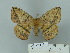  ( - BC-DZ 22.505)  @13 [ ] Unspecified (default): All Rights Reserved  Unspecified Unspecified
