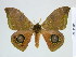  ( - BC-DZ-9.866)  @14 [ ] Copyright (2010) Unspecified Research Collection of Carlos Mielke