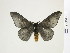  ( - BC-DZ-9.884)  @13 [ ] Copyright (2010) Unspecified Research Collection of Carlos Mielke