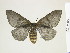  ( - BC-DZ-9.892)  @13 [ ] Copyright (2010) Unspecified Research Collection of Carlos Mielke
