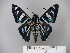 ( - BC-OM 21.508)  @11 [ ] Unspecified (default): All Rights Reserved  Unspecified Unspecified
