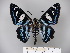  ( - BC-OM 24.214)  @15 [ ] Unspecified (default): All Rights Reserved  Unspecified Unspecified