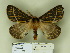  ( - BC-OM 43.297)  @12 [ ] Unspecified (default): All Rights Reserved  Unspecified Unspecified
