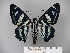  ( - BC-OM 53.924)  @14 [ ] Unspecified (default): All Rights Reserved  Unspecified Unspecified