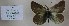  ( - AVK002)  @12 [ ] Unspecified (default): All Rights Reserved  Unspecified Unspecified