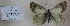  ( - AVK003)  @12 [ ] Unspecified (default): All Rights Reserved  Unspecified Unspecified