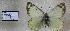  ( - AVK071)  @12 [ ] Unspecified (default): All Rights Reserved  Unspecified Unspecified