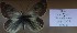  ( - AVK125)  @11 [ ] Unspecified (default): All Rights Reserved  Unspecified Unspecified