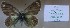  ( - AVK126)  @11 [ ] Unspecified (default): All Rights Reserved  Unspecified Unspecified