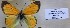  ( - AVK138)  @11 [ ] Unspecified (default): All Rights Reserved  Unspecified Unspecified
