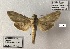  ( - SL002)  @11 [ ] Copyright (2019) Sergey Legotin Private collection of sergey Legotin