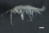  ( - 09-PROBE-09801)  @14 [ ] CreativeCommons - Attribution (2010) Unspecified Centre for Biodiversity Genomics