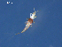  ( - SAEVG_Morph0083)  @11 [ ] Unspecified (default): All Rights Reserved  Unspecified Unspecified