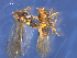  ( - SAEVG_Morph0110)  @11 [ ] Unspecified (default): All Rights Reserved  Unspecified Unspecified