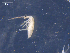  ( - SAEVG_Morph0227)  @11 [ ] Unspecified (default): All Rights Reserved  Unspecified Unspecified