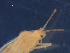  ( - SAEVG_Morph0379)  @11 [ ] Unspecified (default): All Rights Reserved  Unspecified Unspecified